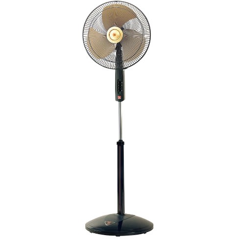 Standing Fan