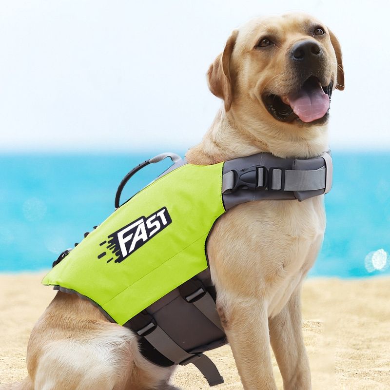 Pet Dog Life Jacket Swimsuit, Size: M