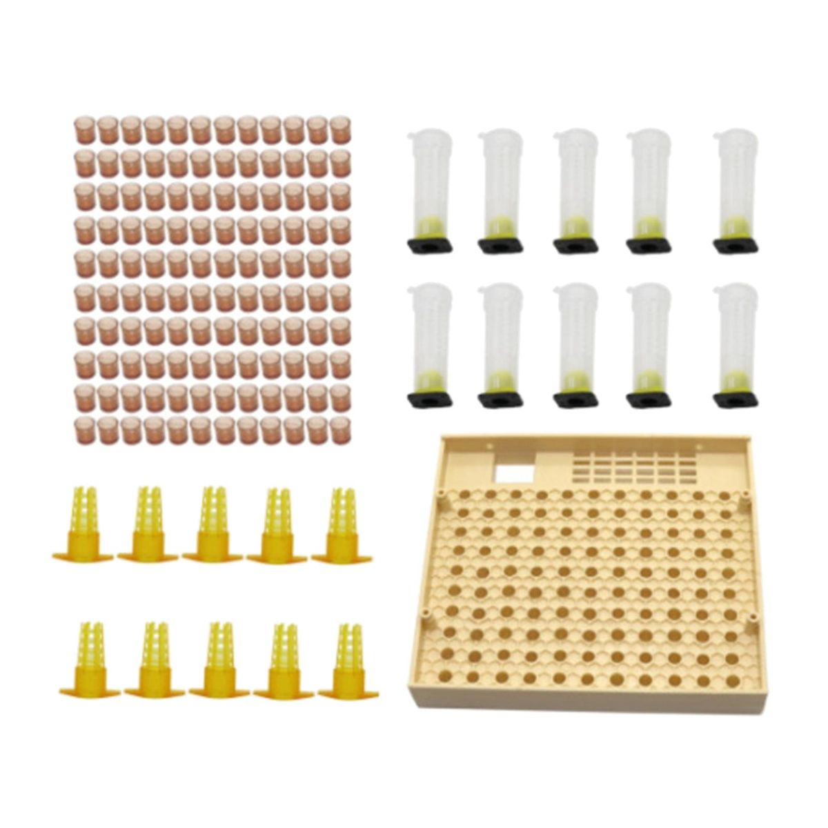 Queen Rearing Cup Box  Complete For Bee Breeding Cage