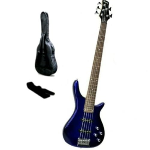 5 Strings Bass Guitar