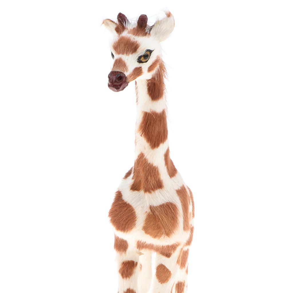 Realistic Giraffe Emulation Animal Model Figures Kids