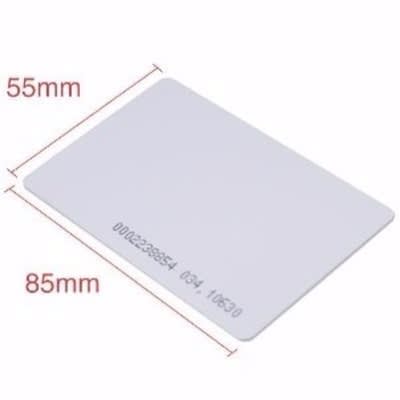 Radio Frequency Identity Card RFID Access Card - Pack Of 100