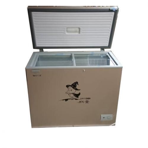 Chest Freezer BD-258L