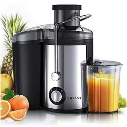 Fruit Juicer- 800w