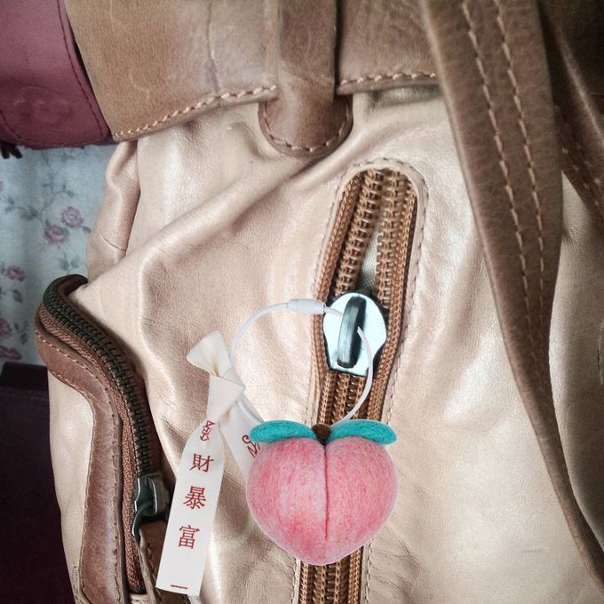 DIY Wool Felting Wool Felt Craft Starter Kit Key Chain Peach