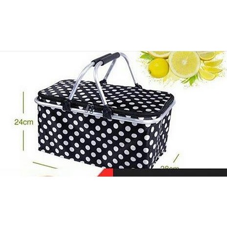 Multifunctional Picnic Bag