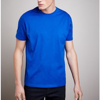 Regular Fit Crew Neck T-shirt- Blue