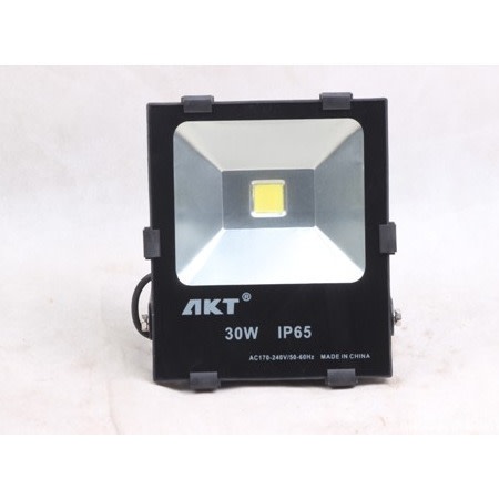 AKT 30 Watts Led Outdoor Light