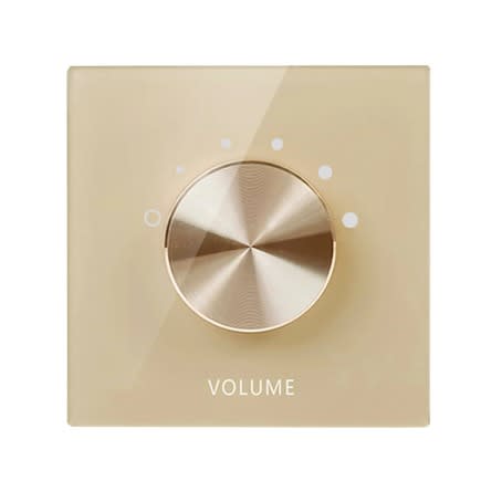 Speakers Volume Controller 2 Channels -Gold Color