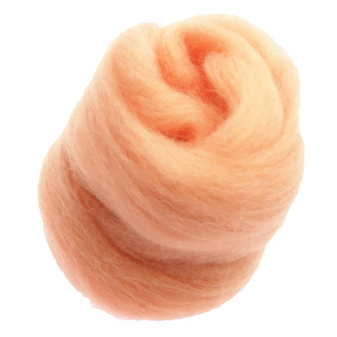 Pure Wool Tops Roving For Felting And Spinning,10g, Fineness Orange