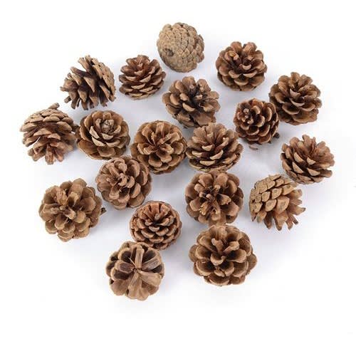 Props Decoration Natural Pine Nuts Dried Plant Pineapple Cones - 5pc