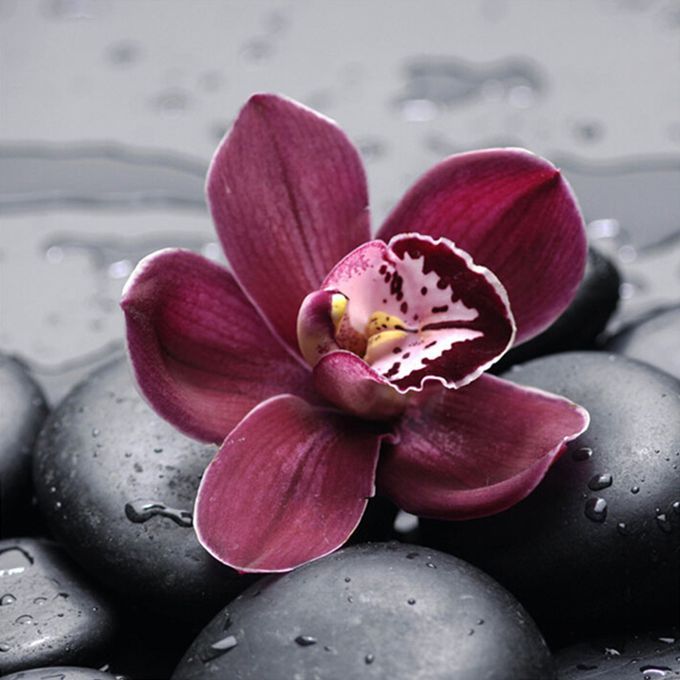 DIY 5D Diamond Painting Purple Flowers Rhinestone Embroidery