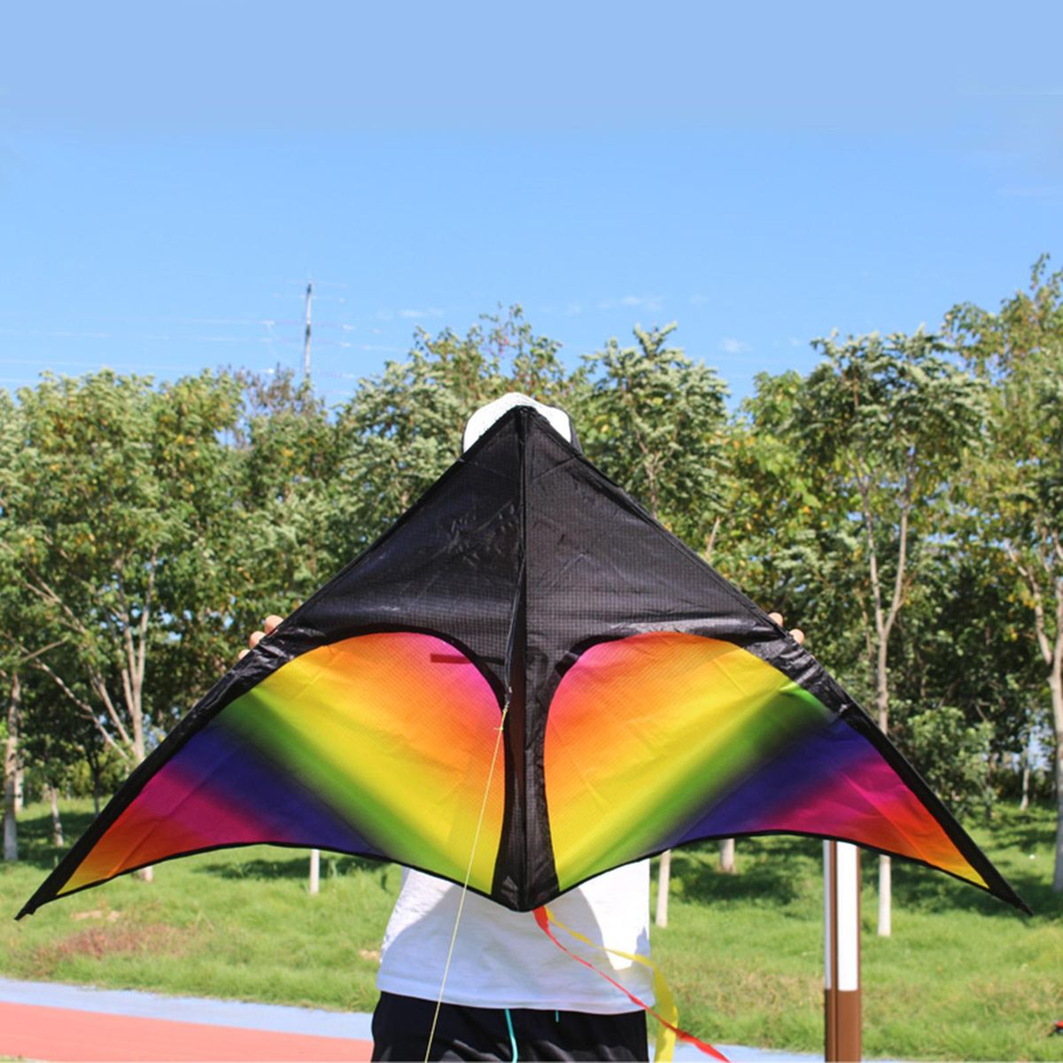 Giant Delta  Kite Windsock With String Triangle Kite