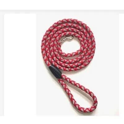 Reflective Dog Leash