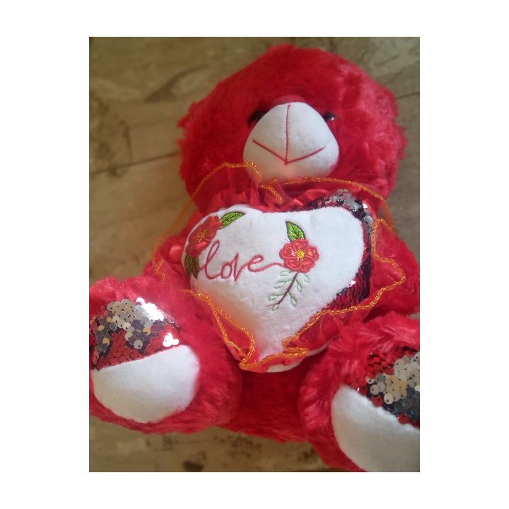 RUBBY RED SOFT TEDDY BEAR MODERATE SIZE