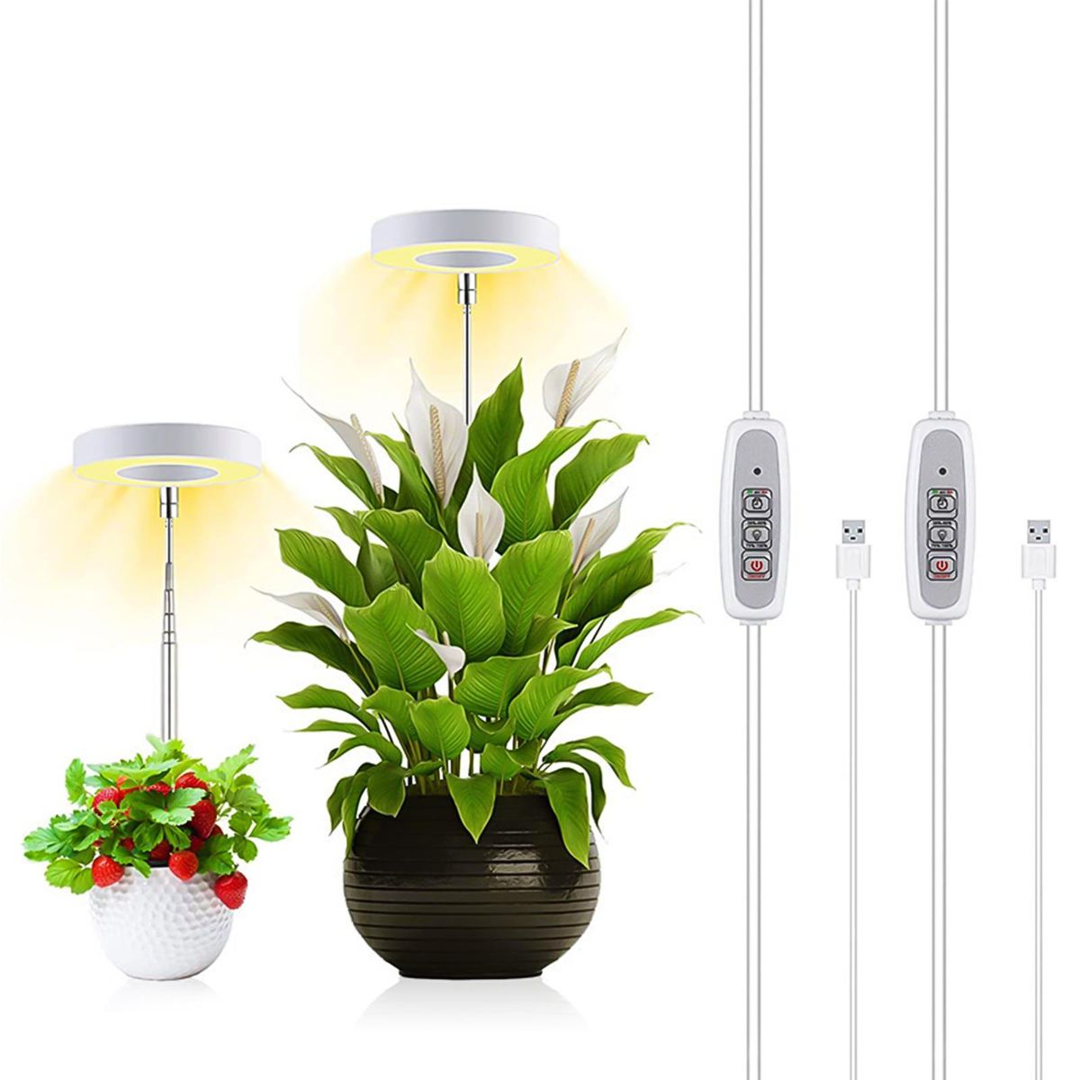 Plant Growing Light Brightness Dimmable 2/4/8h Timing Mini Circle Leds Lamp for Indoor Plants