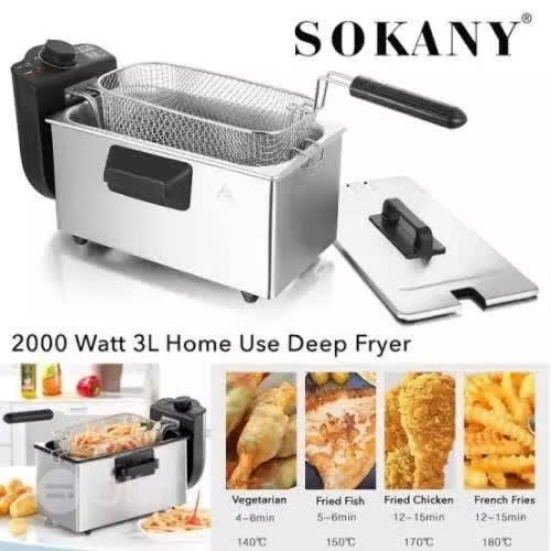 Electric Deep Fryer - 2000W