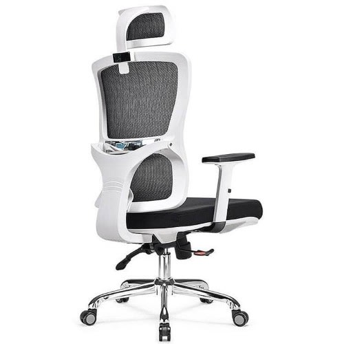 Executive Ergonomic Mesh Chair