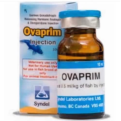 Ovaprim For Catfish/Aquarium Fish - 10ml