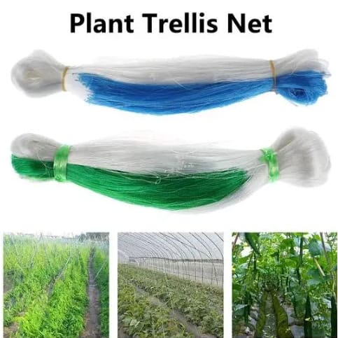 100 Meter Plant Climbing Support Net Trellis - Netting For Cucumber, Yam, Pea, Bean - 3 Pieces