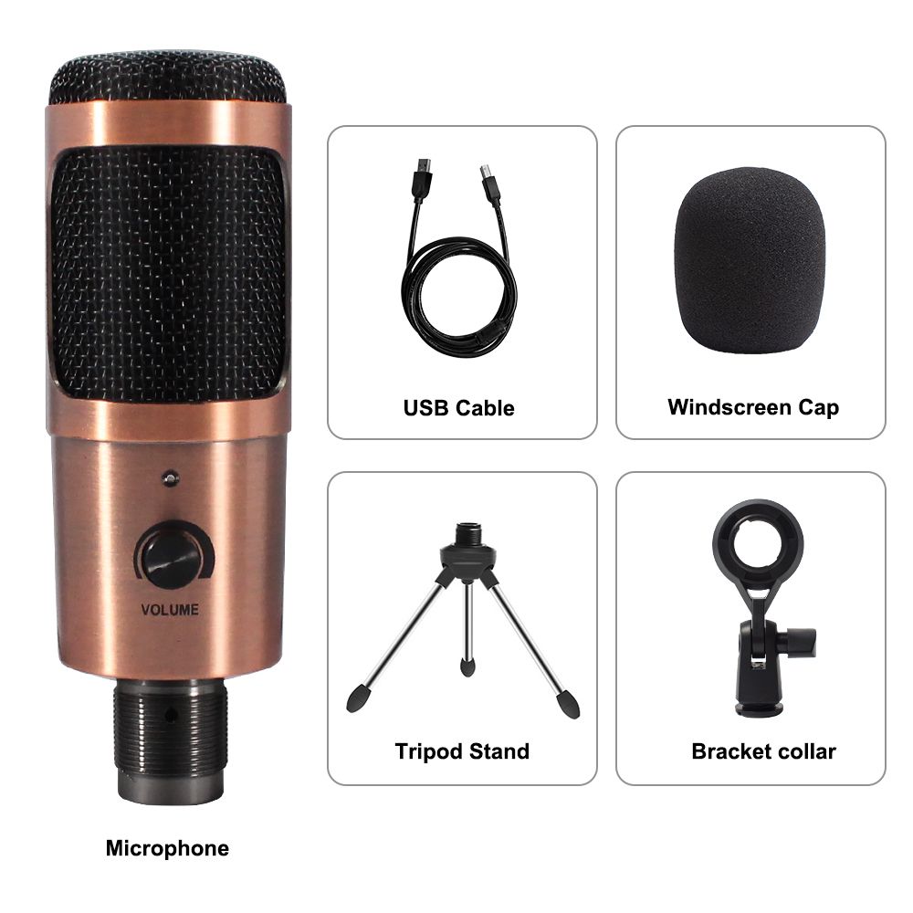 USB Microphone Condenser D80 Recording Microphone With Stand
