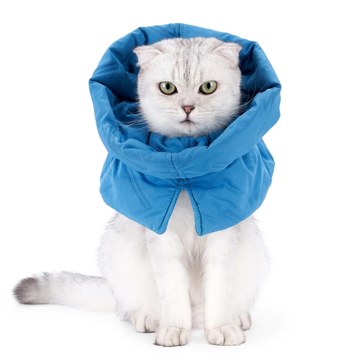 Cat Cone Collar Stop Licking Adjustable Scarf Warm Recovery Collar