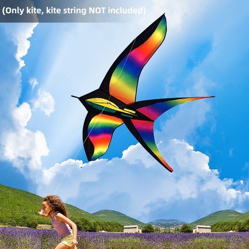 Colorful Swallow Sport Colourful 68 Inch Bird Kite