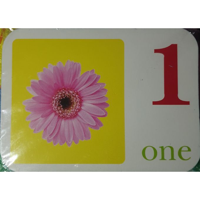 Numbers & Counting Colour Double-sided Flashcards