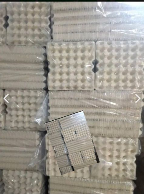 Water Resistant Paper Crate