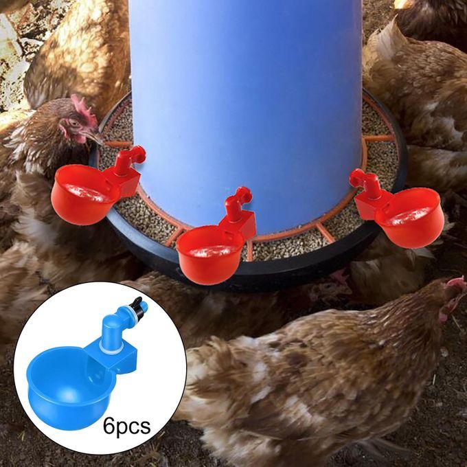 6 Pieces Birds Chicken Drinkers Cups Waterers Coop Ducks Pigeon Blue