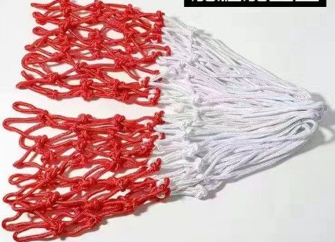 A Pair Up Basketball Net