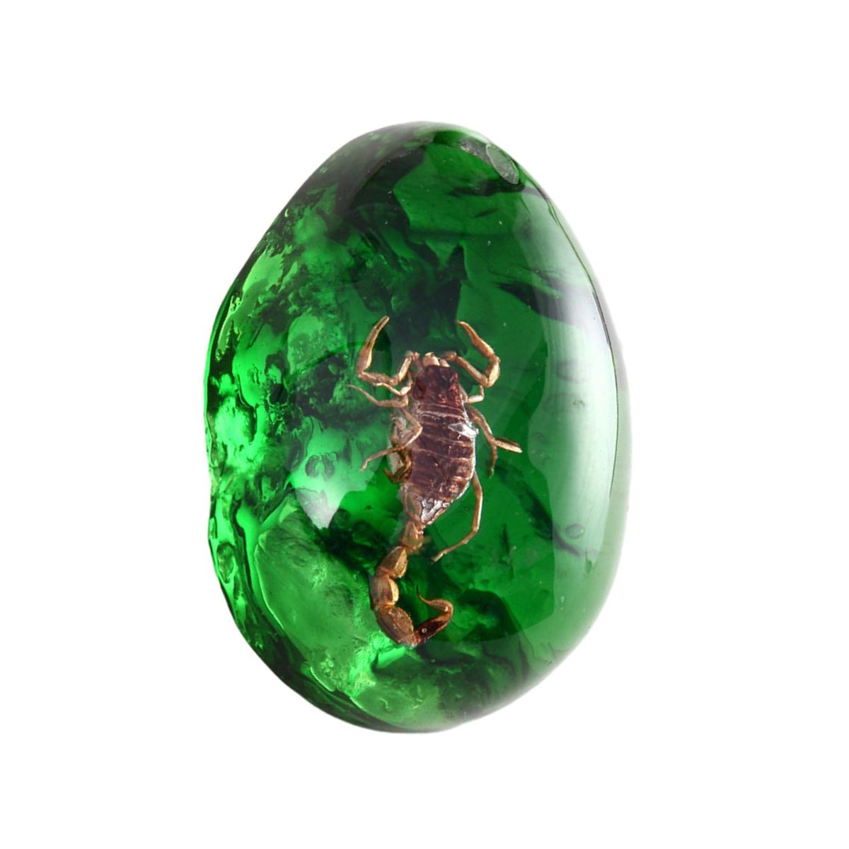 Butterfly Amber Collectibles Vibrant Amber Collection for Ages Green