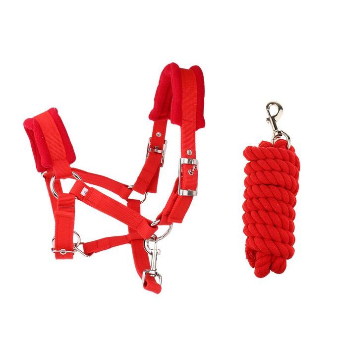 Soft Padded Adjustable Horse Head Collar Halter L + 2.5m Horse Lead