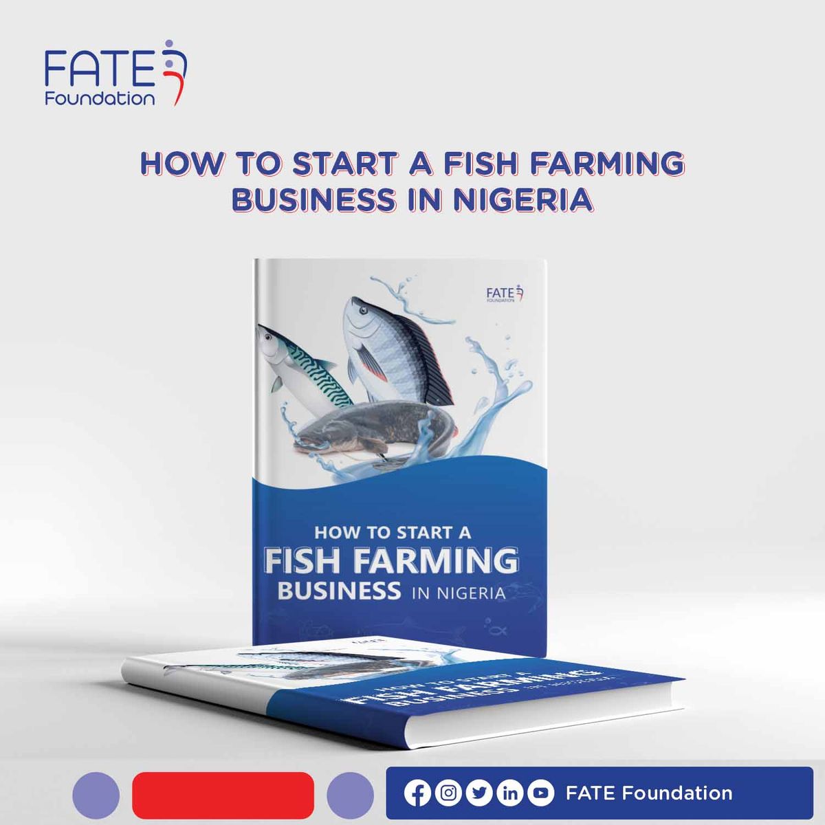 HOW TO START A FISH FARMING BUSINESS IN NIGERIA