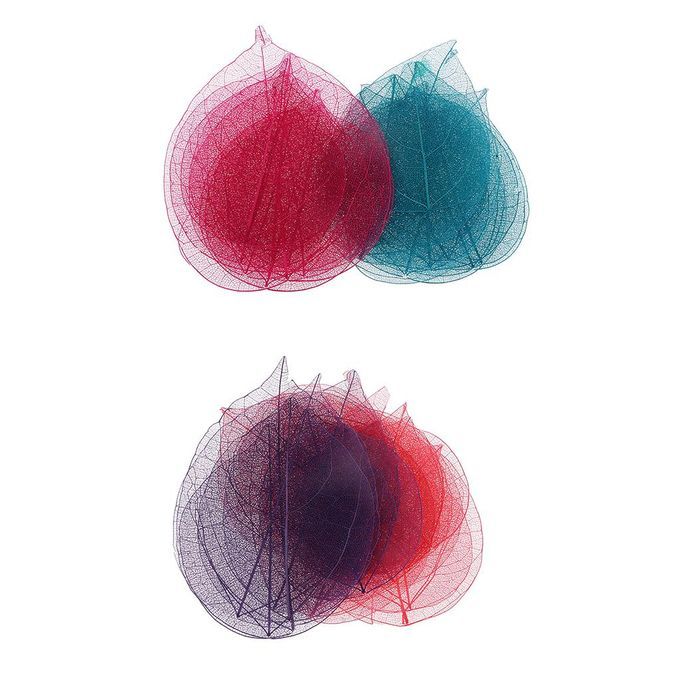 20x Natural Dried Heart Shape Bodhi Leaves For DIY Crafts