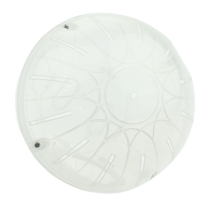 Pet Play Exercise Rodent Jogging Mice Hamster Gerbil Small Ball White