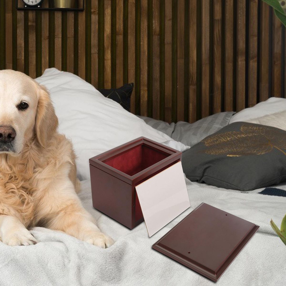 Pet  Cremation Urns Longevity Box Memorial Box For