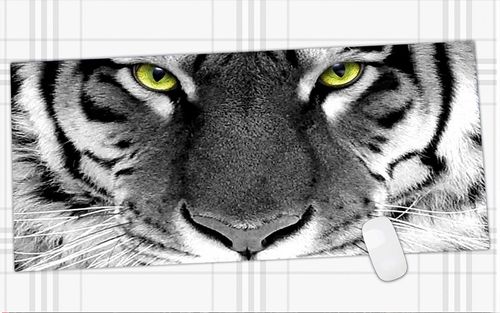 600x450mm Laptop Computer Keyboard Mat Large Gaming Mouse