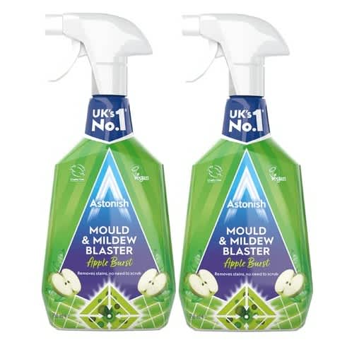 Mould And Mildew Blaster - 750ml X 2pcs