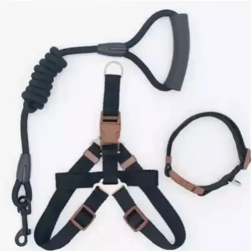 Dog Leash - Collar And Harness For Dogs