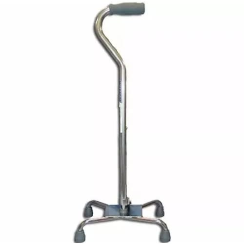 Walking Stick - Tetrapod