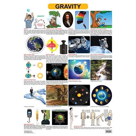 Gravity Educational Laminated Wall Chart
