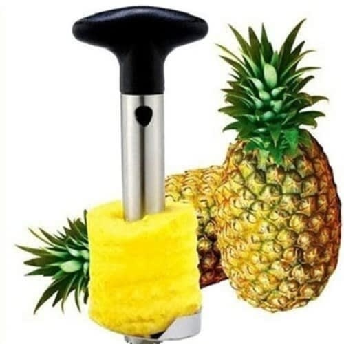 Stainless Steel Fruit Corer Pineapple Peeler