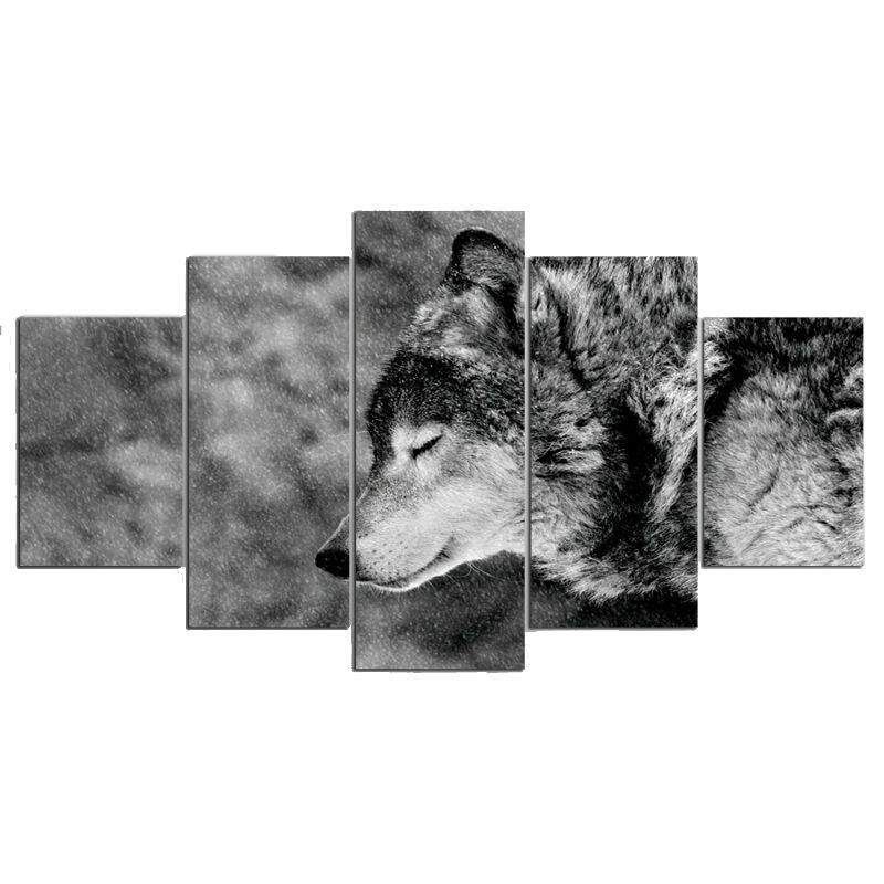 5Pcs HD Canvas Print Wall Art Animal Wolf Picture Unframed Home Decor # Wolf Wolf