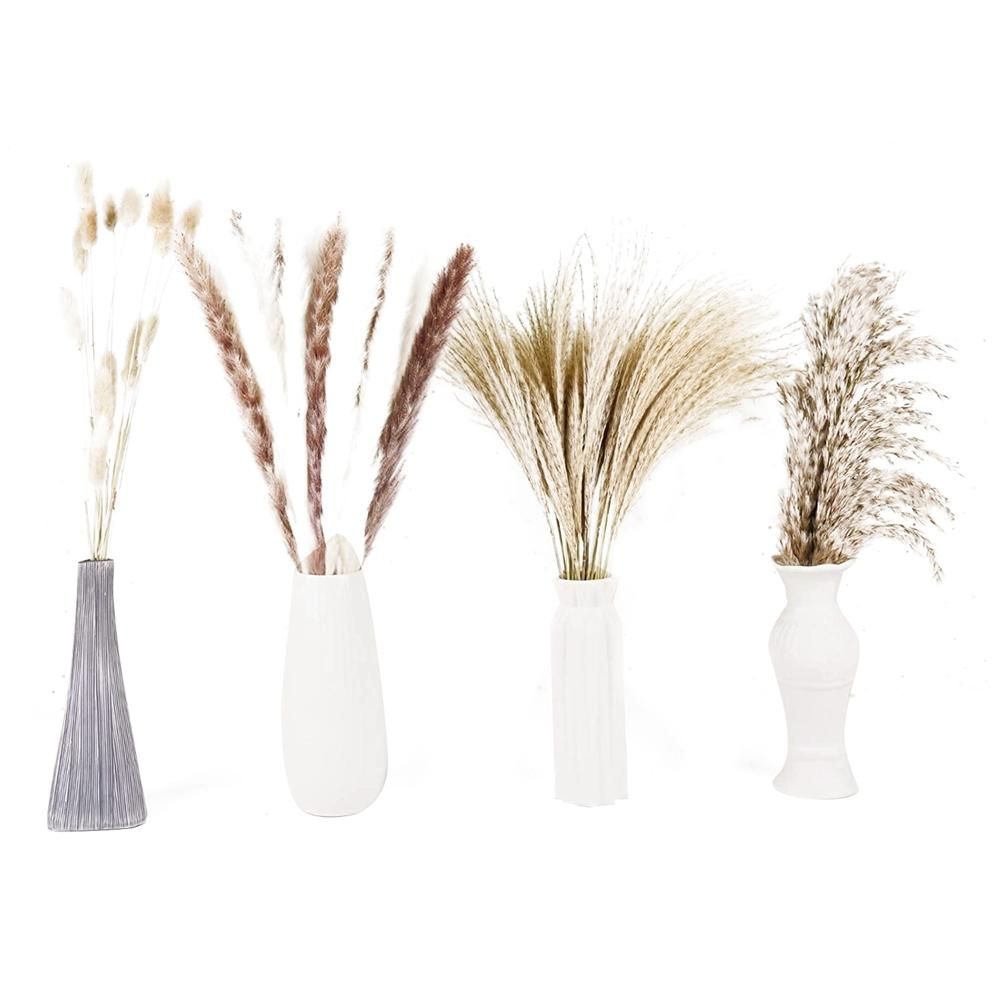 Pampas Grass,Pampas Grass Decoration Dried Flowers,Pampas