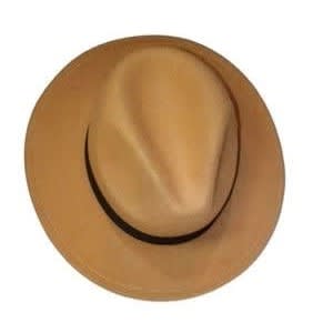 Fedora Wide Brim Hat - Brown