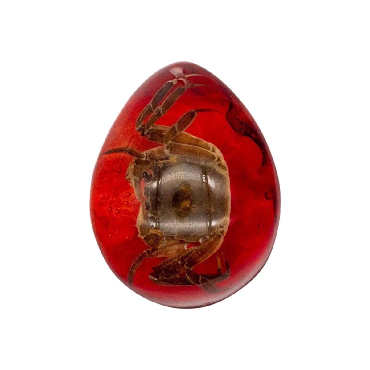 Wasp Amber Jewelry Vibrant Amber Collection Scorpion for Ages Red