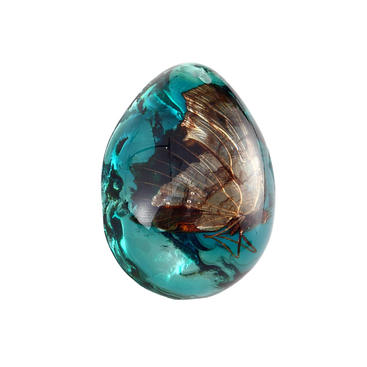 Children Amber Toys Vibrant Amber Collection Scorpion for Ages Blue