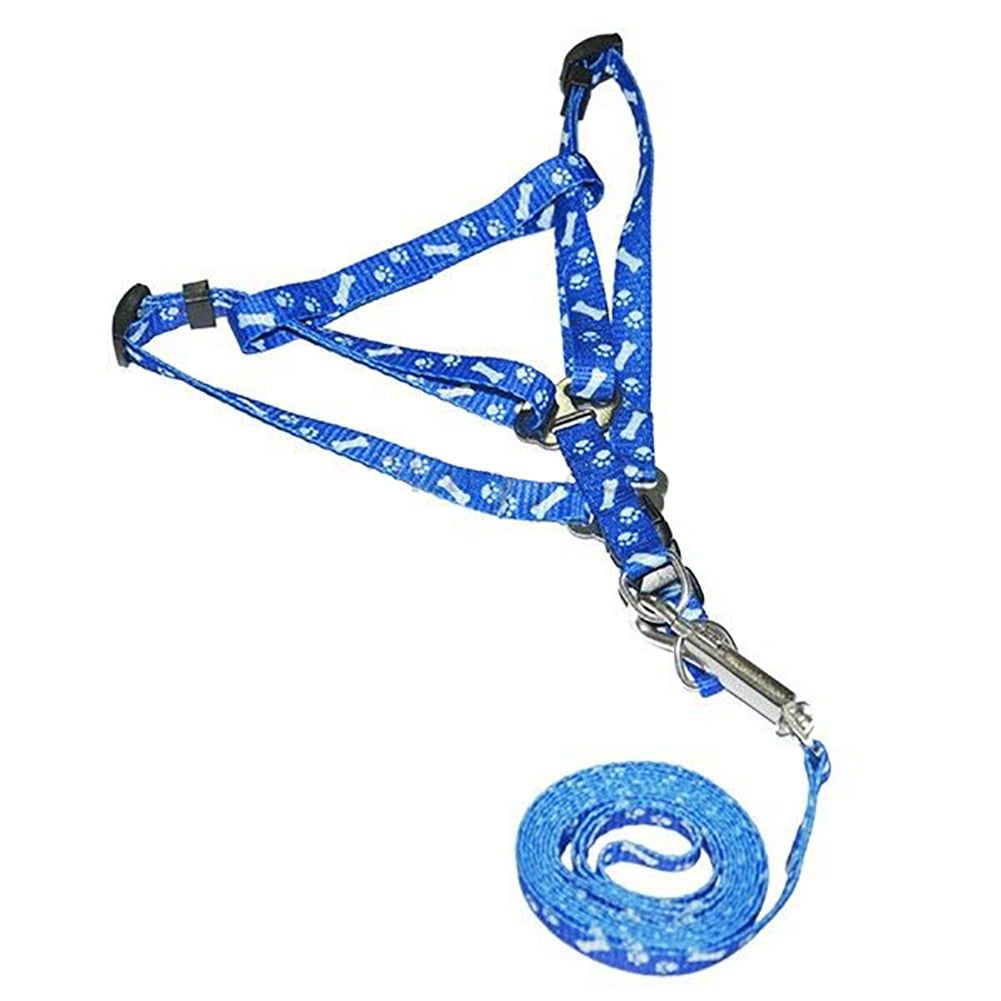 Adjustable Halter Harness & Leash Set Small/Medium Breed Dog
