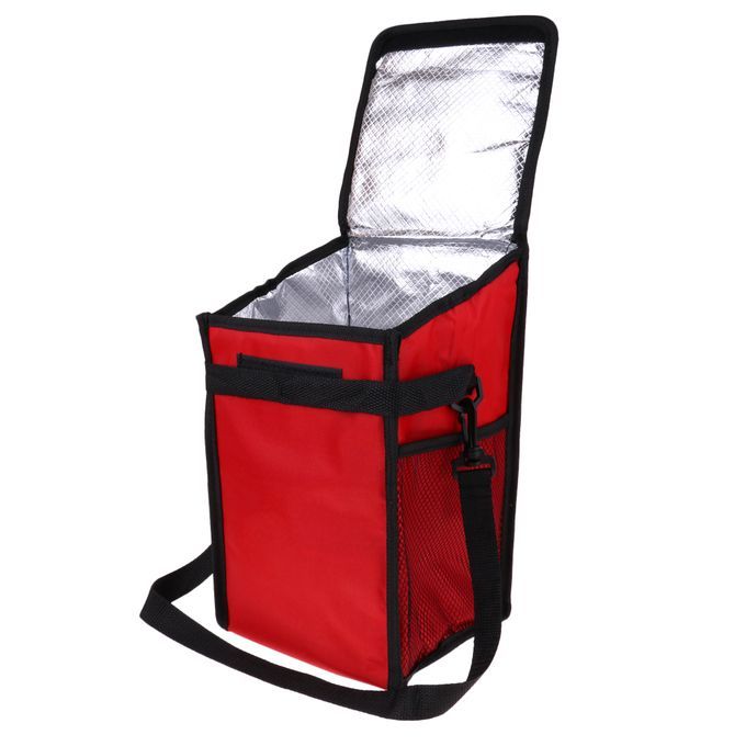 Cooler Box Insulated Lunch Container Camping Beach Lunch Picnic